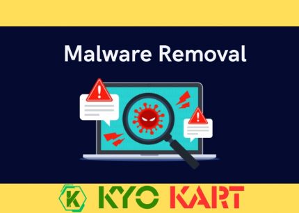 Malware Removal Service