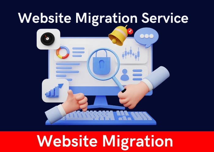 Website Migration Service