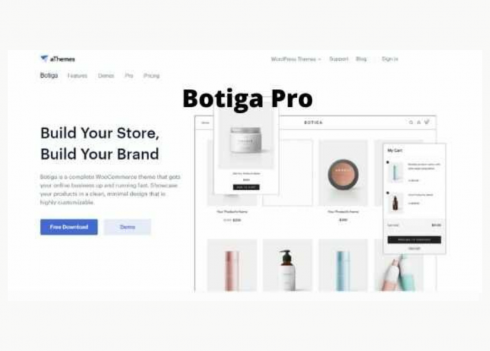 Botiga Pro Addon Theme WP GPL