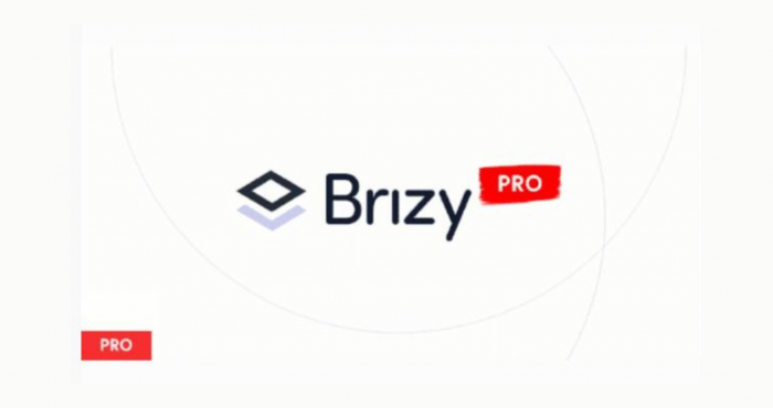 Brizy Builder Pro WP Page Builder | All Working Features