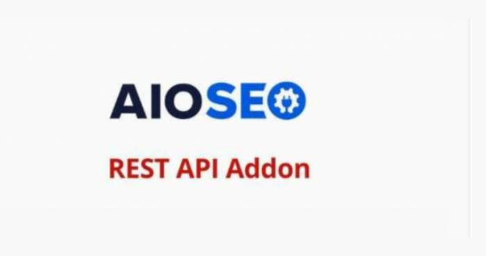 AIOSEO REST API Addon theme WP GPL